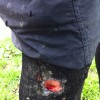 It looks worse than it is.